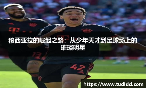 九游会j9