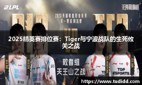 2025精英赛排位赛：Tiger与宁波战队的生死攸关之战